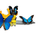 'Blue & Yellow' Butterfly | ART PRINT